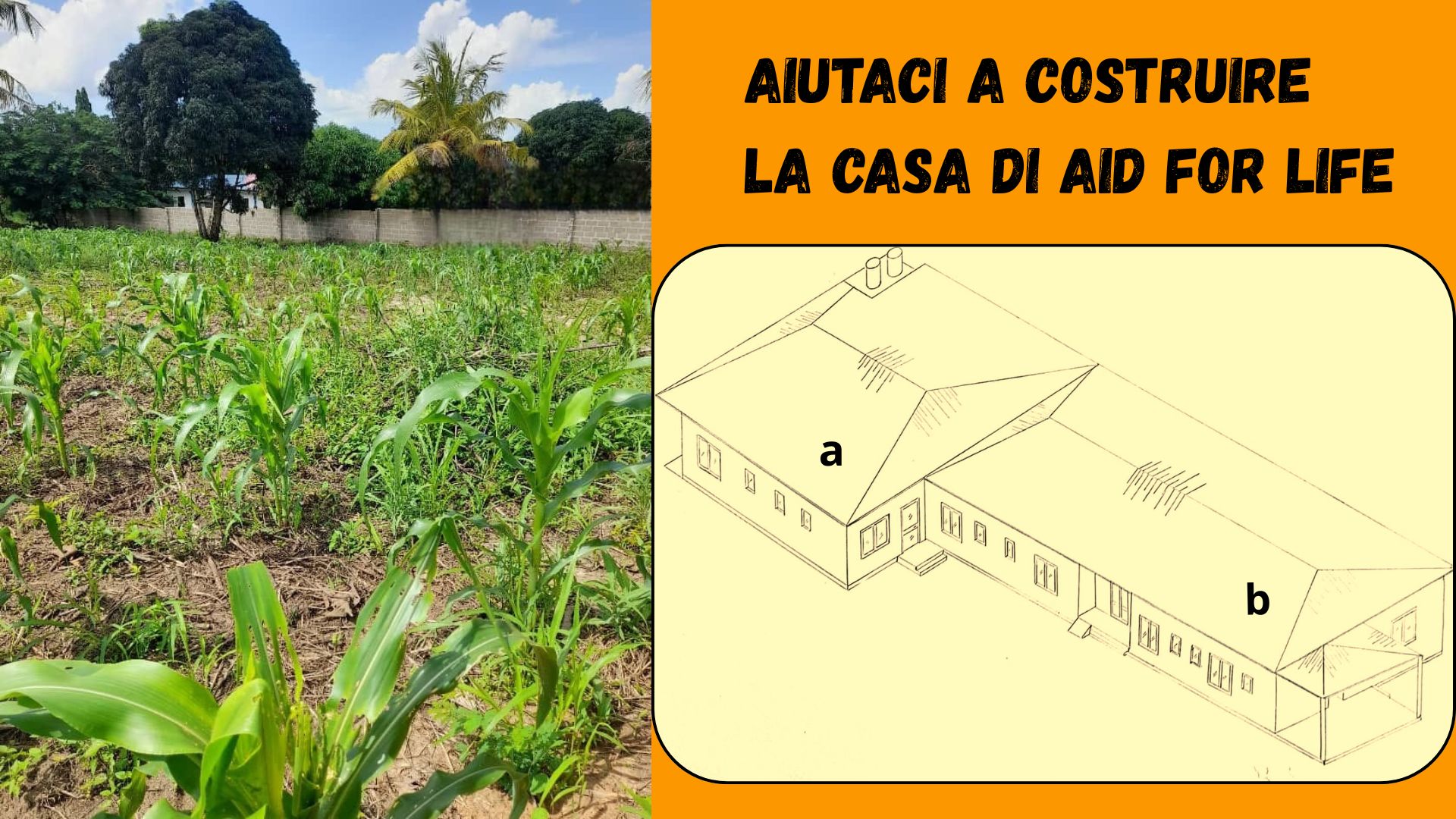 Aid for Life - Progetto Casa